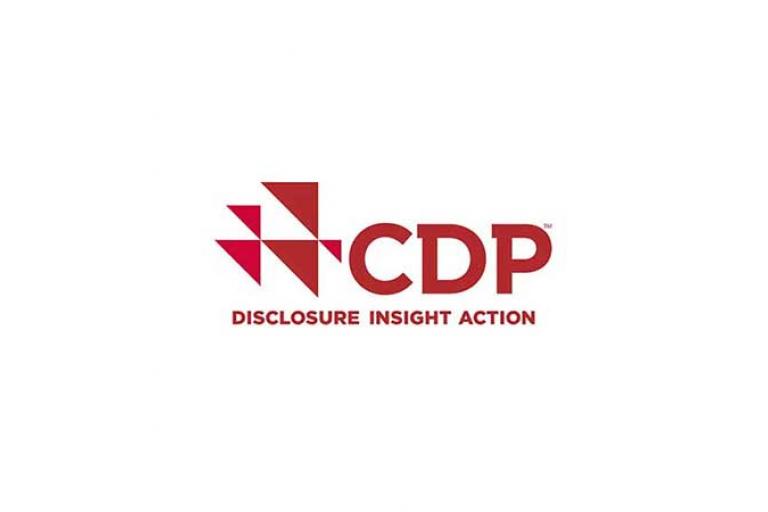 cdp logo